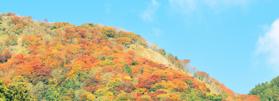 答志島